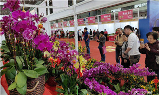 靠花卉引客，也靠“花外留客”