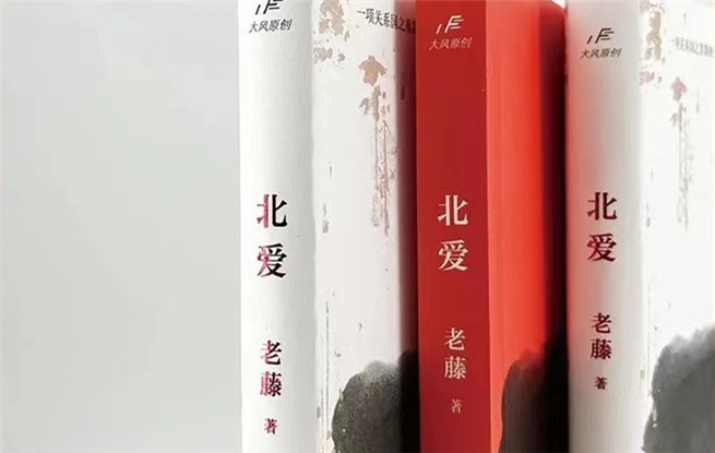 “行進(jìn)的風(fēng)景”第十七期：老藤《北愛》